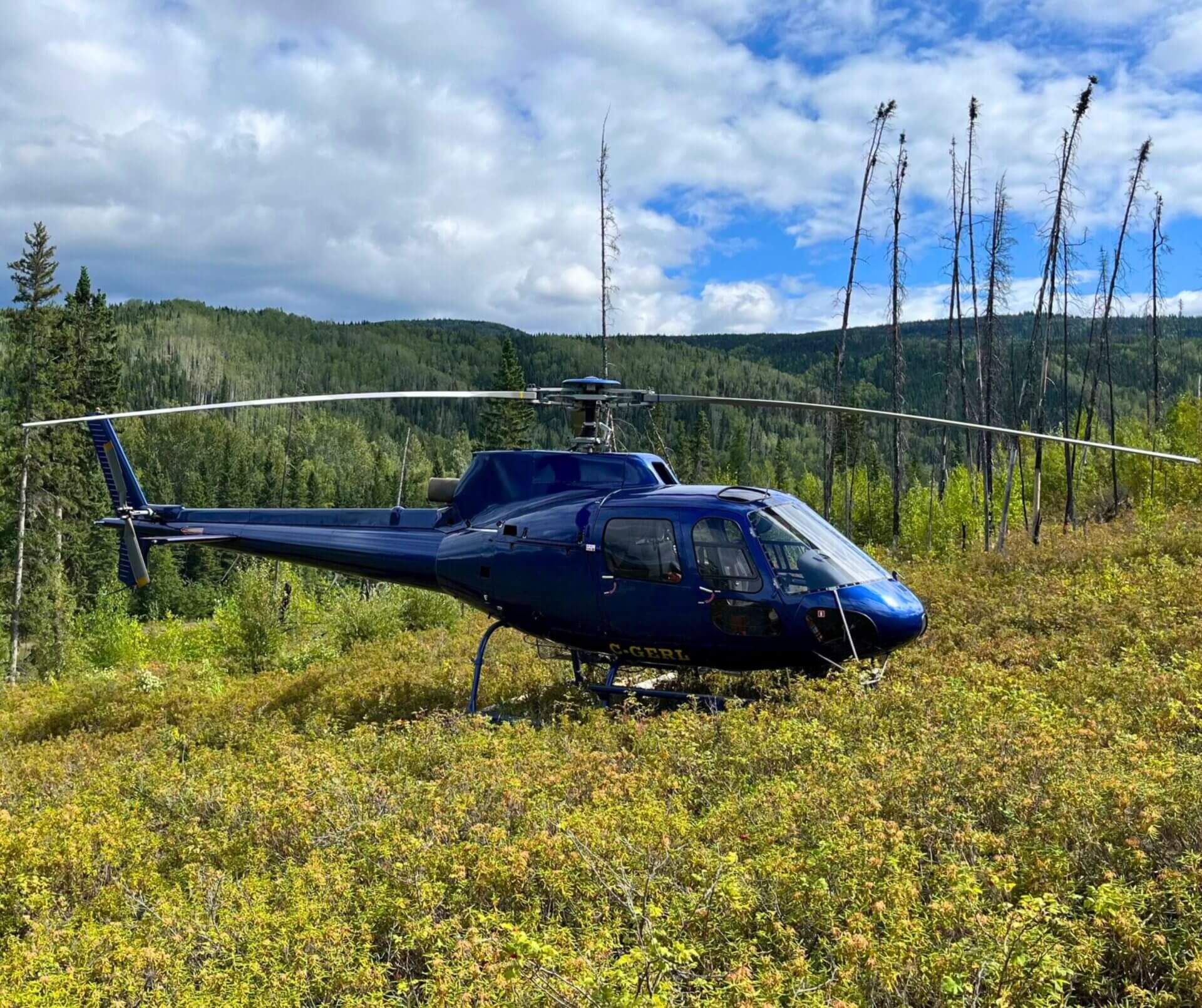 1982 Airbus AS350BA, photo 1