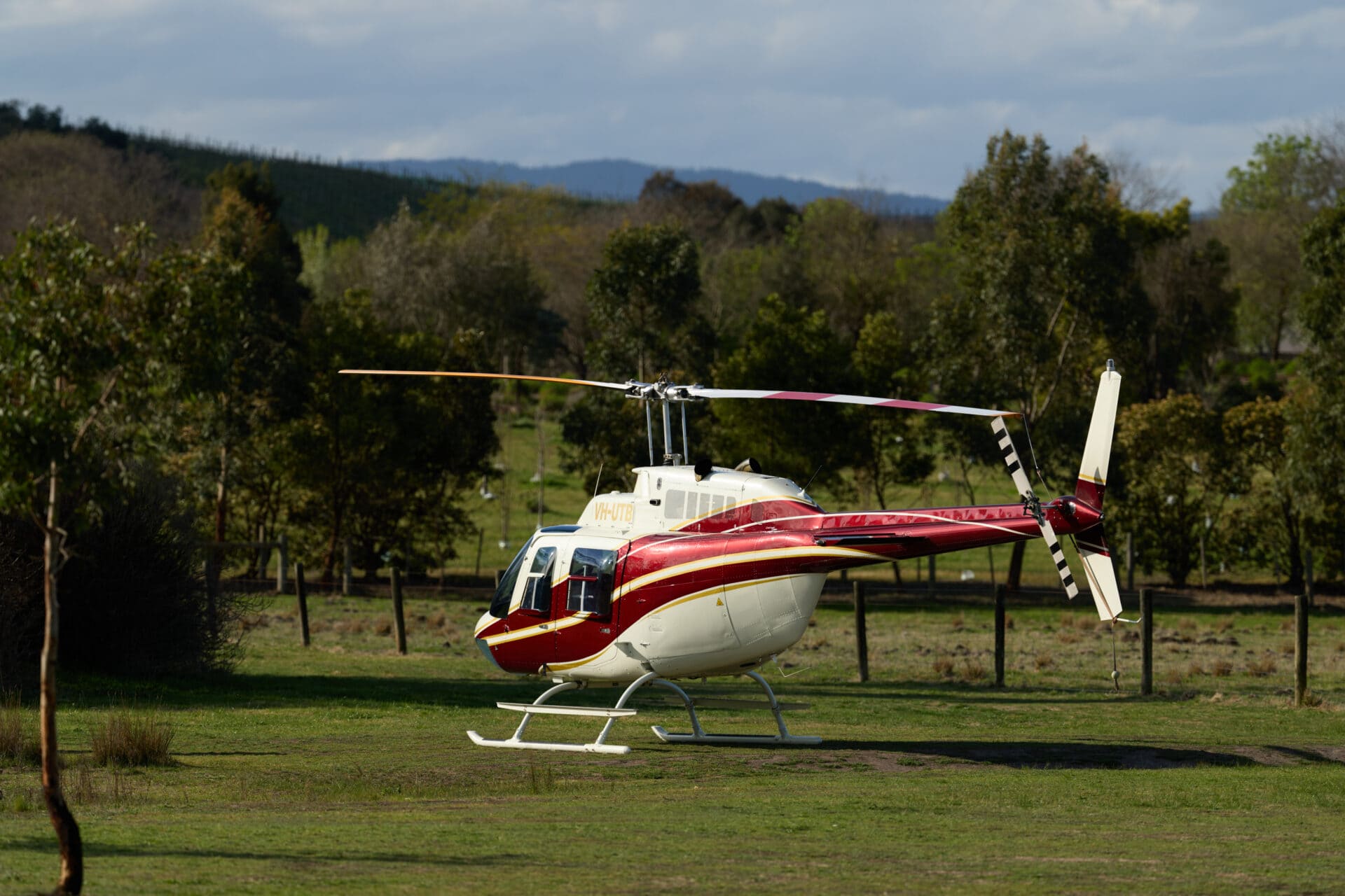 1984 Bell 206B, photo 8