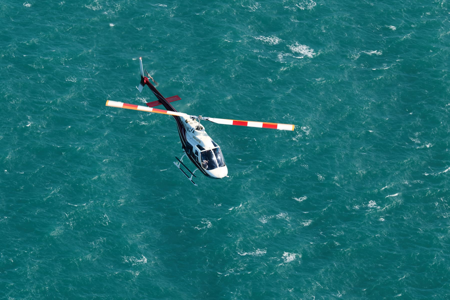 1984 Bell 206B, photo 4